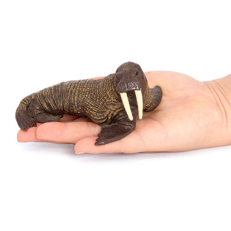 海象模型 仿真海洋动物 长牙海狮海豹 儿童科教玩具 场景摆件