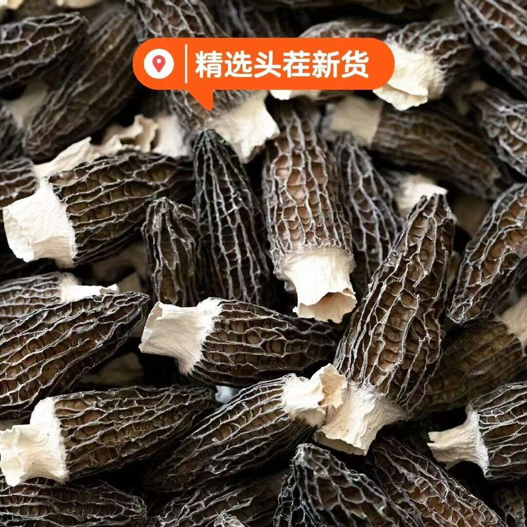 羊肚菌 源头发 一件包邮羊肚菌 干货大粒羊肚菌 熬汤配料