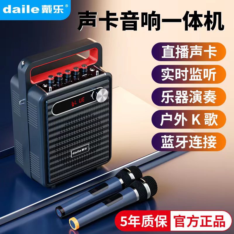 戴乐S62声卡直播广场舞音响户外k歌音箱卖唱歌专用手提便携式乐器