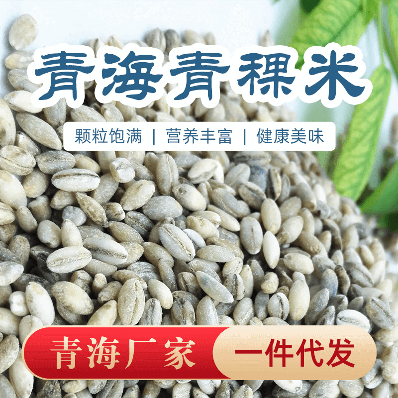 青海直发青稞米缓升糖低升糖粗粮