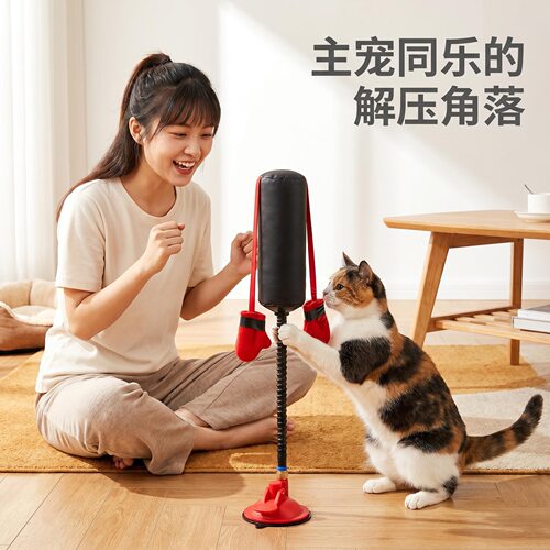 宠物猫热门玩具解闷自嗨猫咪拳击架弹簧互动消耗体力逗猫玩具