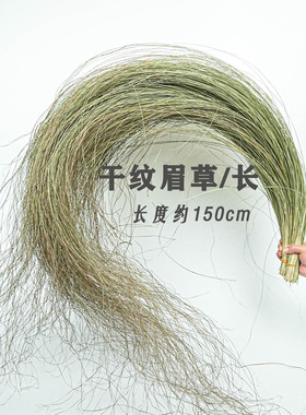 纹眉草干花 干芦苇叶 干羽毛草 干细叶芒 花艺设计婚庆婚礼叶子