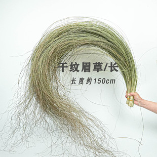 纹眉草干花 干芦苇叶 干羽毛草 干细叶芒 花艺设计婚庆婚礼叶子