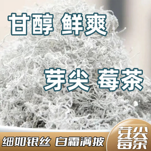 正在芽尖莓茶【够喝大半年】莓茶龙须黄酮莓茶【白霜端芽尖莓茶