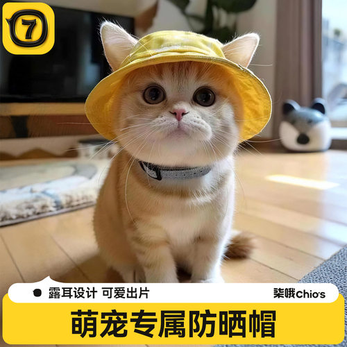 哈基米露耳朵宠物猫咪狗狗帽子夏季防晒太阳帽猫帽子小狗渔夫帽