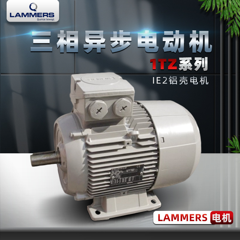 MEZ同款 德國LAMMERS電動機(jī)拉默斯鋁殼立式3KW純銅1TZ9系列電機(jī)