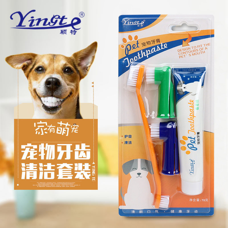 宠物牙膏牙刷狗狗猫咪洁牙狗猫指套法斗巴哥一次性牙刷套装柯基图片