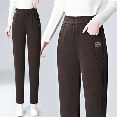 加厚加绒哈伦裤新款秋冬季腰宽松2025休闲裤直筒裤女中年保暖裤