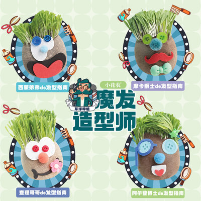 小花农草头娃娃 魔发造型师 创意DIY小盆栽 植物栽培草球种植