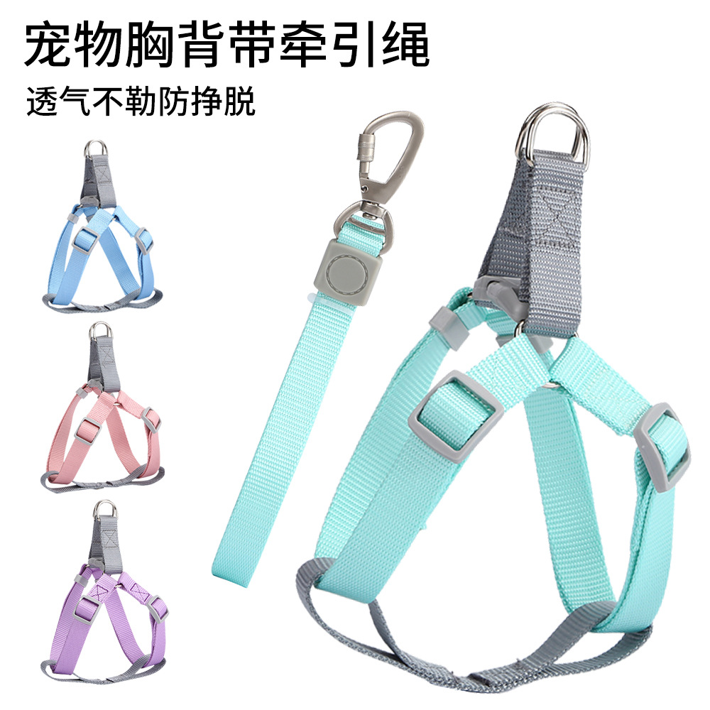 宠物用品亚马逊新品马卡龙尼龙狗狗牵引绳套装 可调节胸背牵引绳