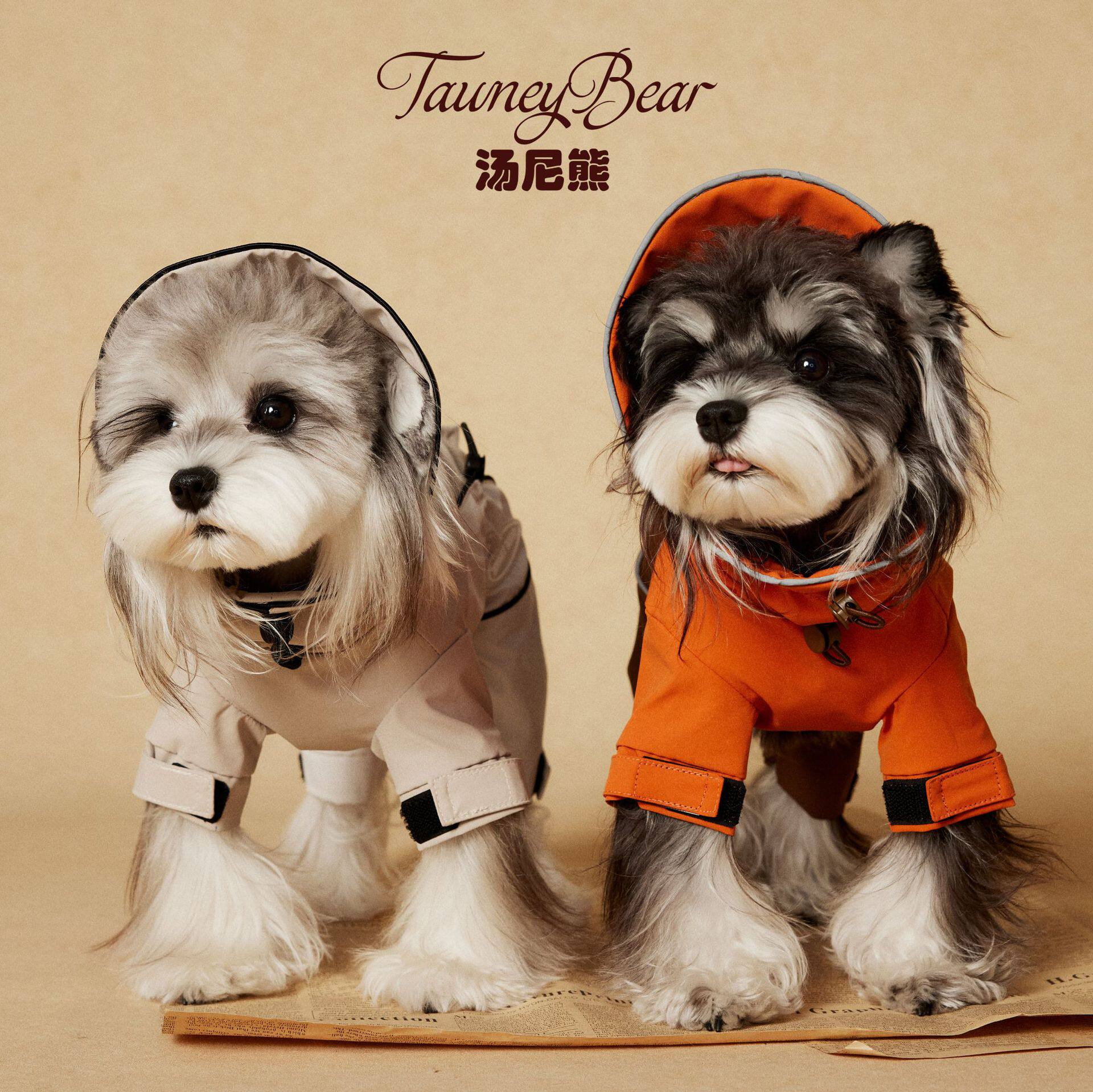 汤尼熊狗狗衣服中小型犬泰迪雪纳瑞比熊博美帅气春夏防水四脚雨衣