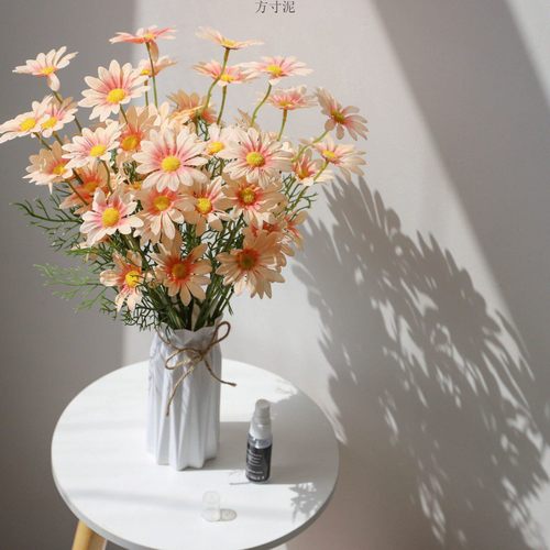 客厅干花菊花ins塑料单只/束