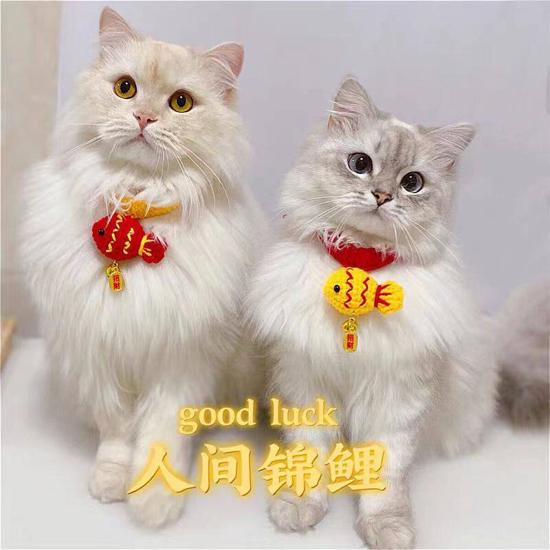 招财纳福宠物围脖项圈红色手工针项圈/肩带