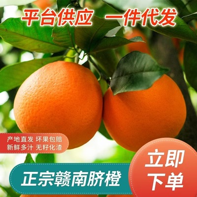 果园直供正宗赣南脐橙10斤精品江西产地现摘新鲜水果皮薄香甜橙子