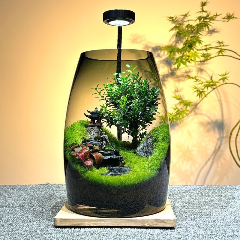 黑悟空苔藓微景观公室diy桌面摆件礼物创意造景生态绿植盆栽