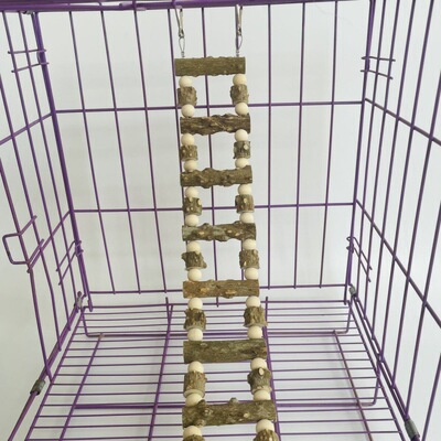 攀爬梯花椒木啃咬秋千鹦鹉吊桥