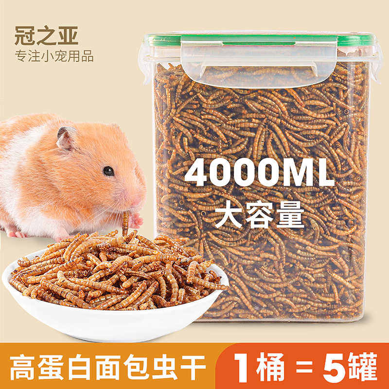 面包虫干仓鼠粮食零食黄粉虫