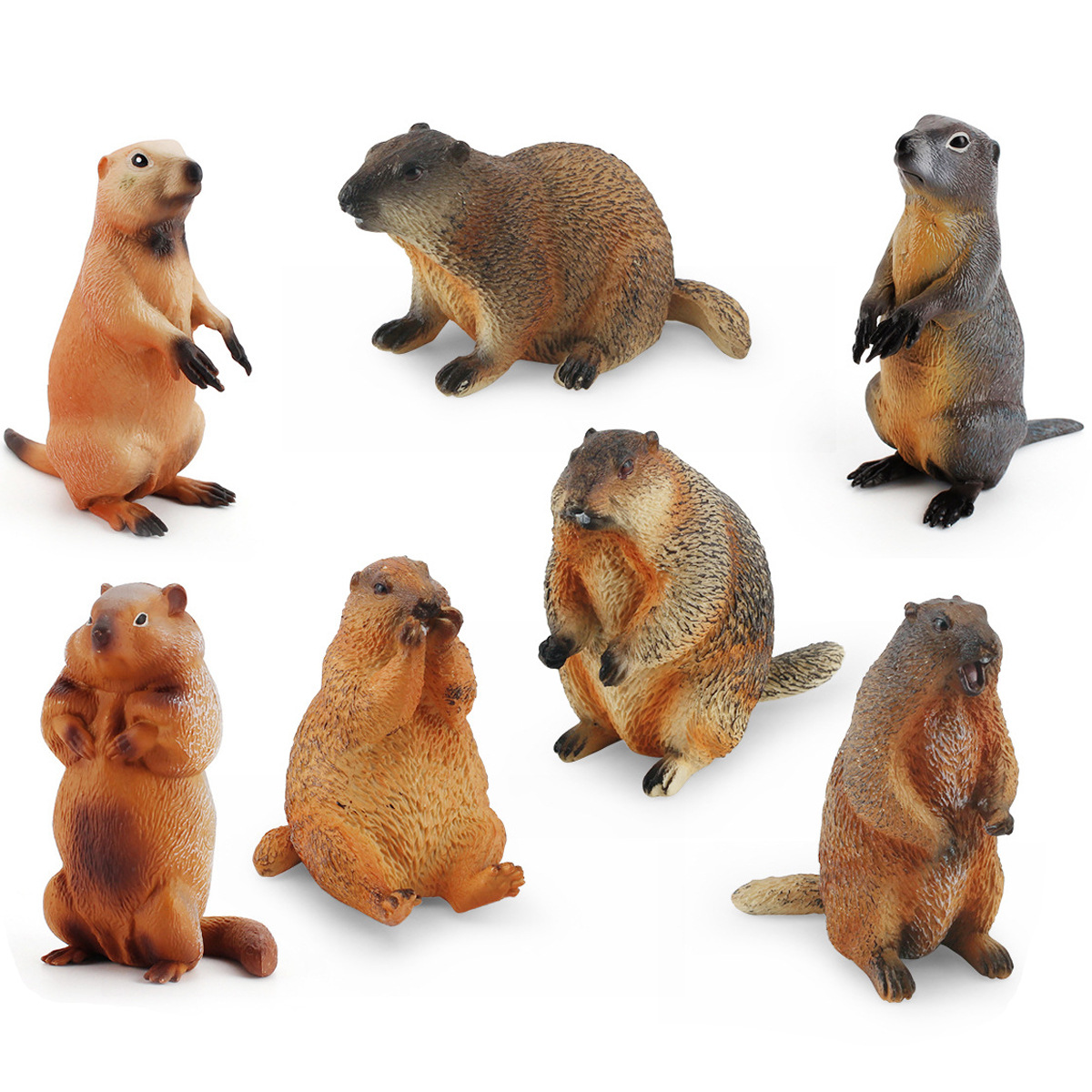 8款Marmot旱獭土拨鼠模型实心仿真草原犬鼠花栗鼠Cynomys摆件玩具