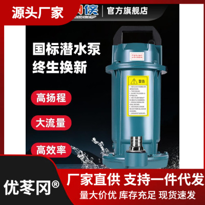 井水抽水泵家用小型不锈钢潜水泵220v高扬程污水泵抽粪泥浆排污泵