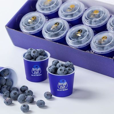 小蓝杯蓝莓纯甜L25孕妇宝宝水果