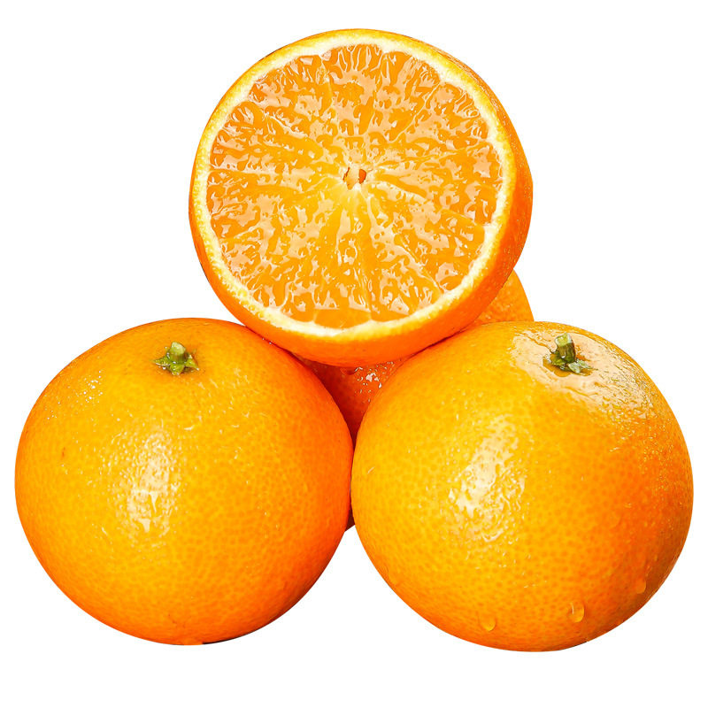 湖北荆州早熟秭归脐橙当季大果新鲜橙子手剥甜橙