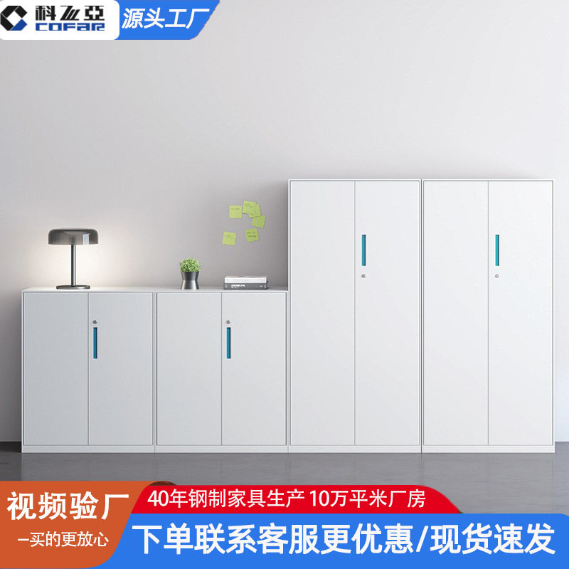 文件柜办公室资料收纳柜铁皮柜档文件柜