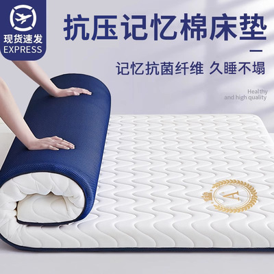 母婴级家用床垫软垫租房专用卧室垫子不易塌陷单人地铺垫冬夏两用
