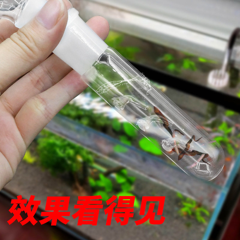 极速现货供应玻璃涡虫捕捉器 涡虫水蛭 诱捕笔 单孔 两孔 三孔蜗