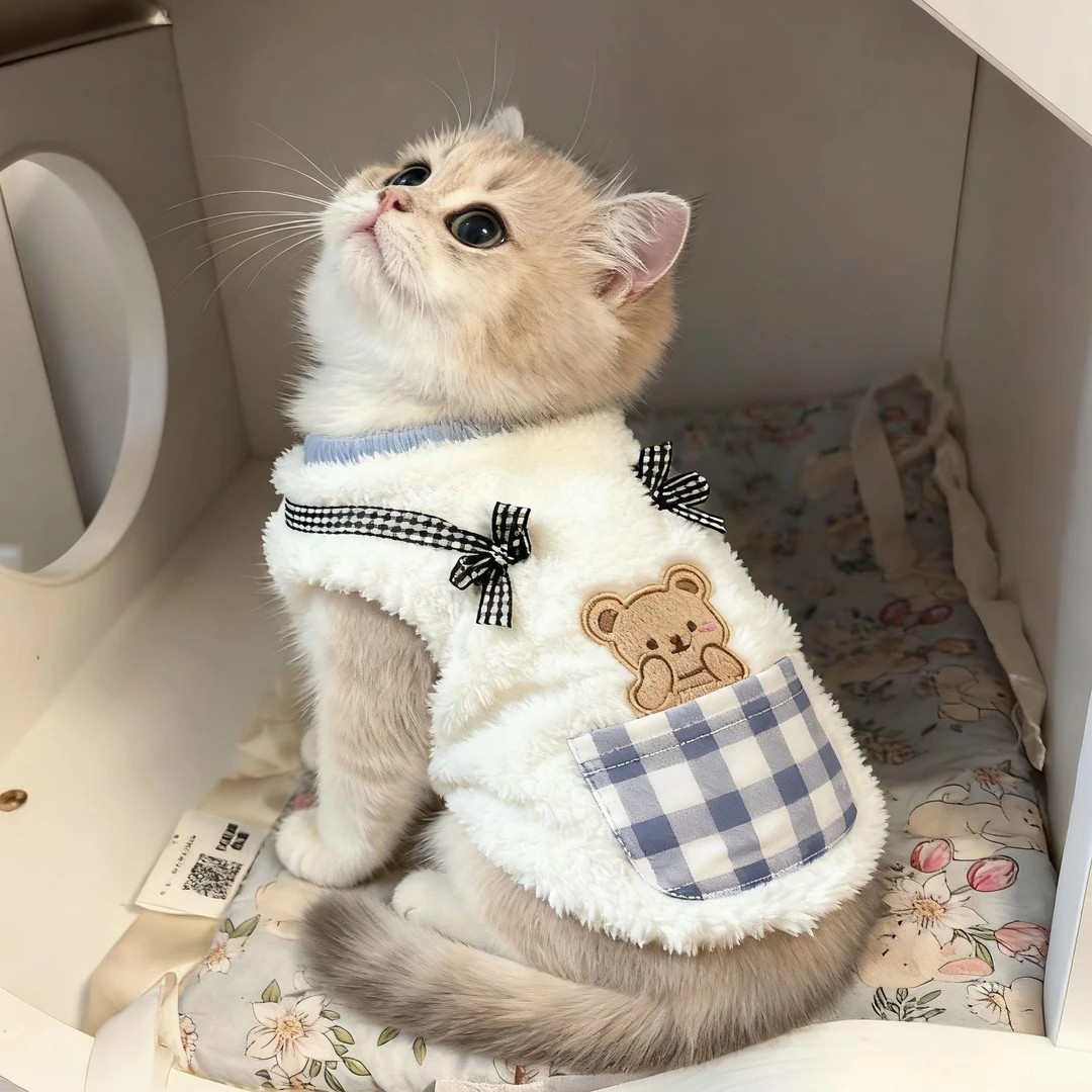 猫咪衣服秋冬季布偶猫保暖背心绒衣宠物小猫猫幼猫防掉毛加绒