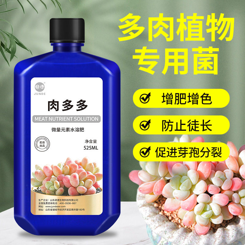 多肉营养液专用肥肉多多植物肥料浓缩家用爆芽生根水溶微生物菌剂