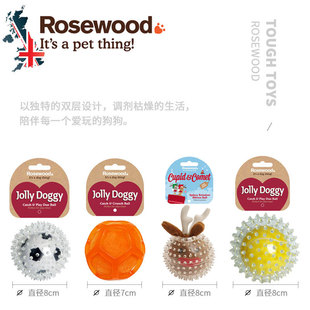 Rosewood乐事为狗狗玩具球宠物发光球磨牙巡回幼犬发声用品金毛