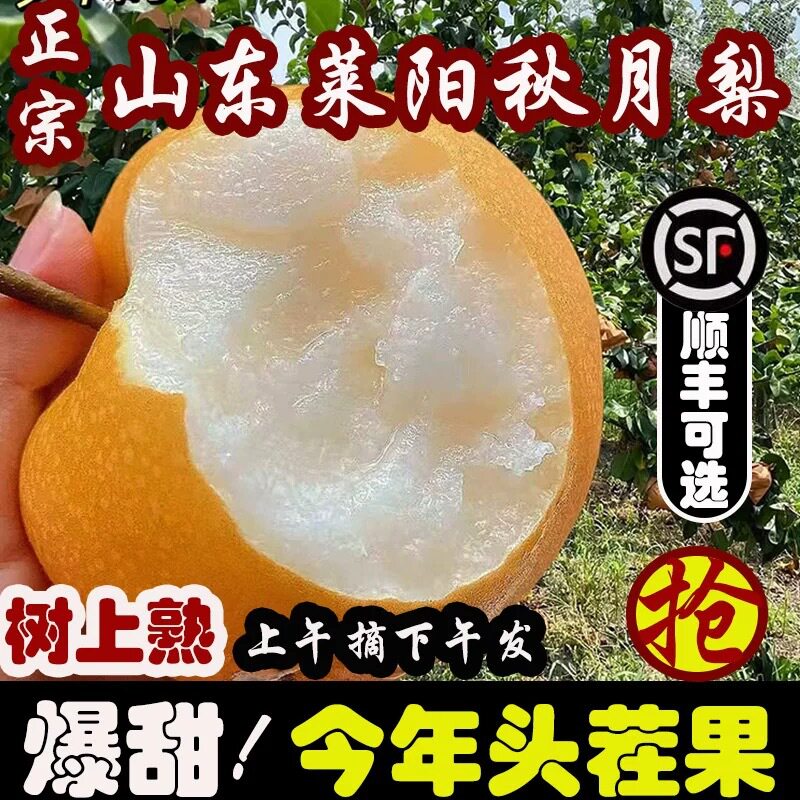 皮薄肉细几乎无渣老人吃着不卡渣