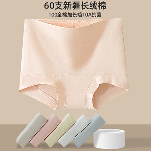 羽叶鸟新疆长绒棉纯棉加长裆大码 胖MM10a抗菌全棉收腹平脚裤