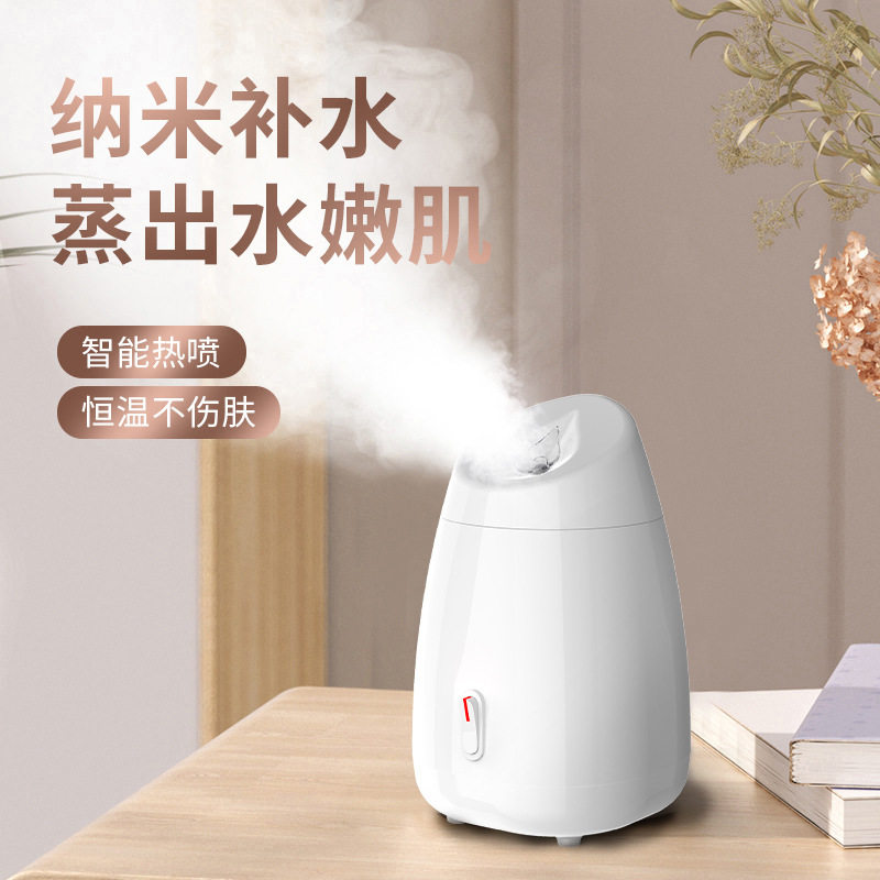 韩国蔬蒸脸器热喷家用美容仪器蒸喷雾仪/蒸脸仪