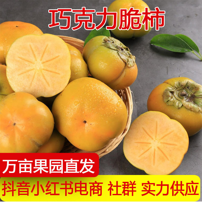 云南保山特产脆柿新鲜硬柿子应季现采现摘孕妇水果精品果整箱包邮