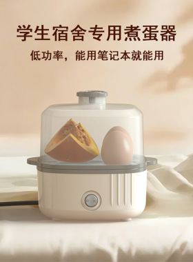 150w小功率学生宿舍用电蒸煮蛋器