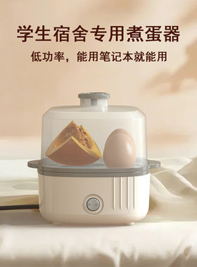 150w小功率学生宿舍用电蒸煮蛋器