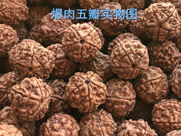 .尼泊尔大金刚菩提子原籽通货批4四5五6六瓣散珠同树手串108颗斤