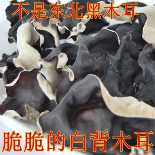 毛木耳干货餐饮火锅食材脆木耳农家特产黑木耳凉拌白背毛木耳
