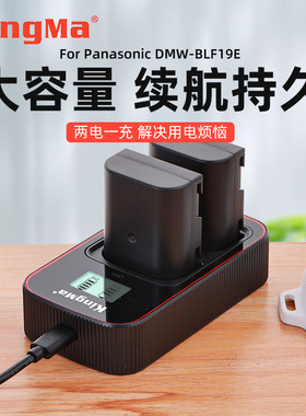 劲码DMW-BLF19E电池适用松下 BLF19GK DMC-GH3 GH5 GH4充电器套装
