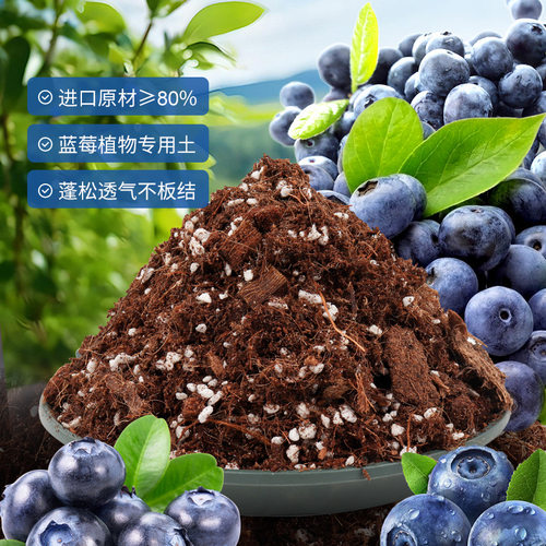 蓝莓种植专用土营养土酸性盆栽基质花土有机泥炭土疏松透气土壤