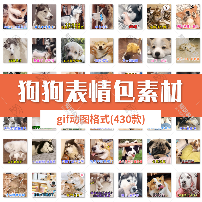 可爱狗狗gif动图素材卡通萌宠搞笑沙雕表情包插图素材图片合集