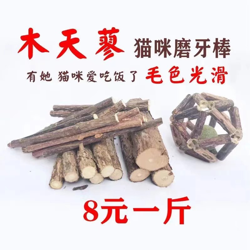 猫咪磨牙棒木天蓼棍仓鼠龙猫啃咬树枝虫瘿果洁齿口臭增食欲逗猫棒