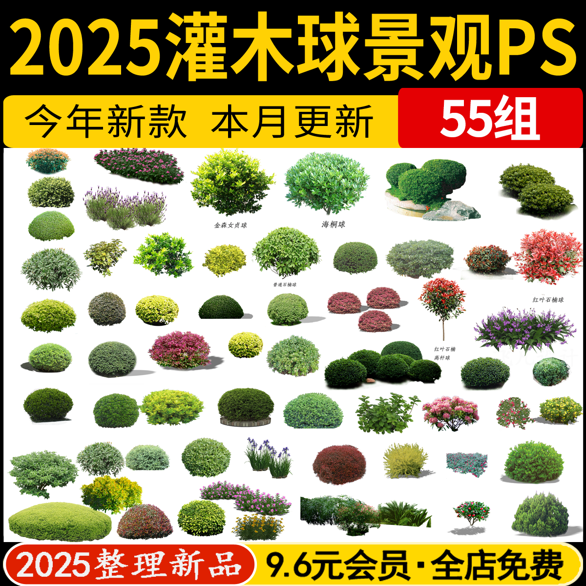 园林景观灌木球ps效果图球形植物红檵木黄杨女贞石楠psd免抠素材