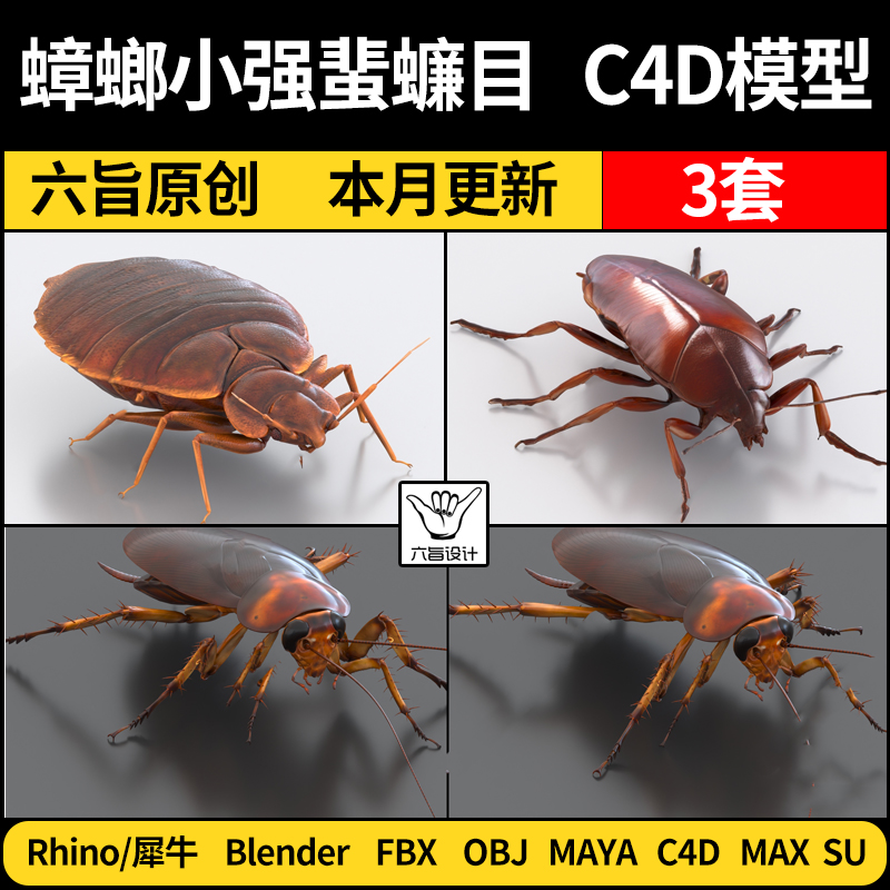 blender昆虫蟑螂小强蜚蠊目SU/Rhino犀牛C4D/MAYA/3Dmax模型FBX