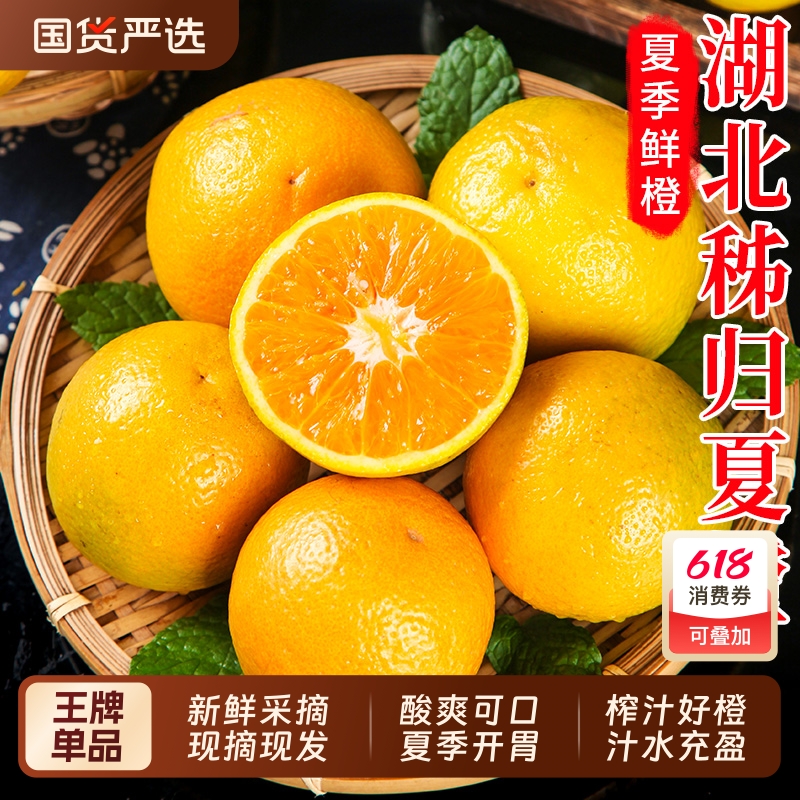 秭归夏橙手选酸甜橙子新鲜榨汁当季时令孕妇水果整箱手剥橙子