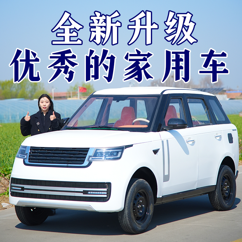 新款电动四轮车家用代步车全封闭成人新能源汽车油电两用小型电车
