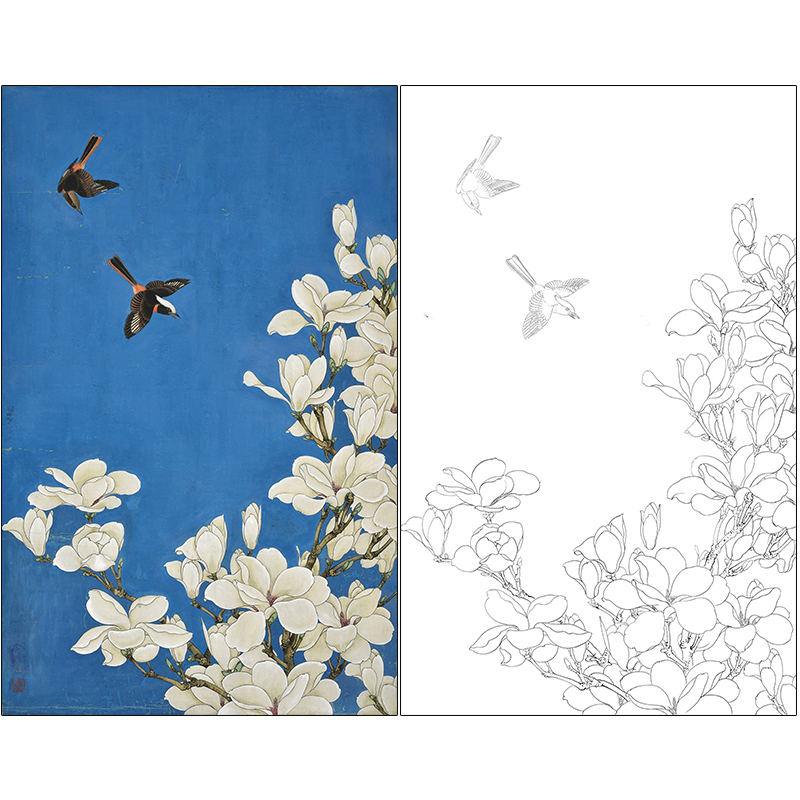 于非闇花鸟工笔画白描底稿《玉兰双雀》临摹勾线高清打印稿HS35