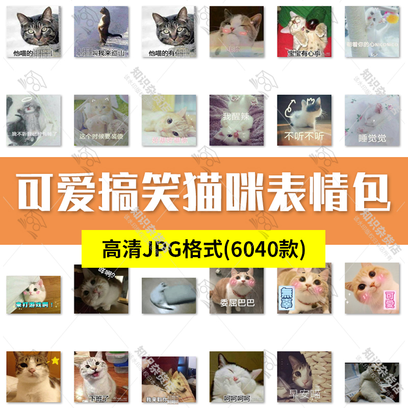 可爱搞笑表情包猫咪表情聊天斗图朋友圈配图静动态图片JPG素材图