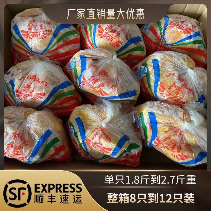 宫清皇清远鸡新鲜冷冻竹林漫步鸡清远麻鸡走地鸡三黄鸡广东白切鸡
